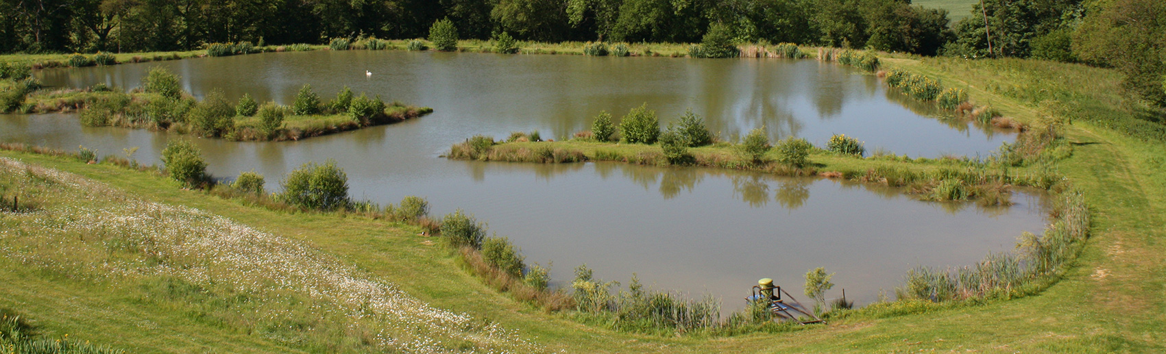 jennys fishing lake - newdigate farms estate